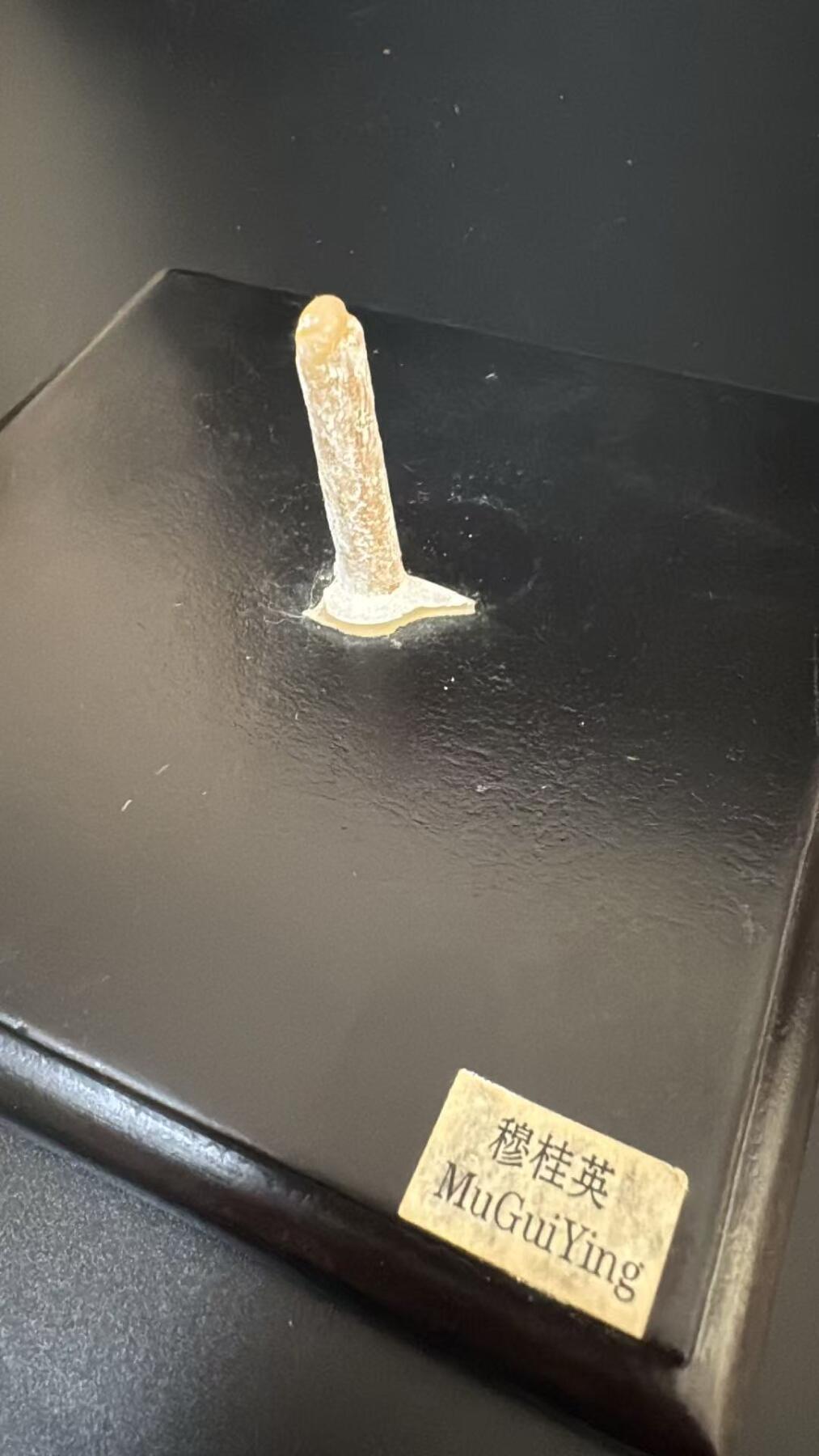 零元拍：穆桂英挂帅精美人偶摆件 多年前购于国家大剧院 做工超精美 尤其头雕 神采生动 不可动 主体应该是石膏 美如画