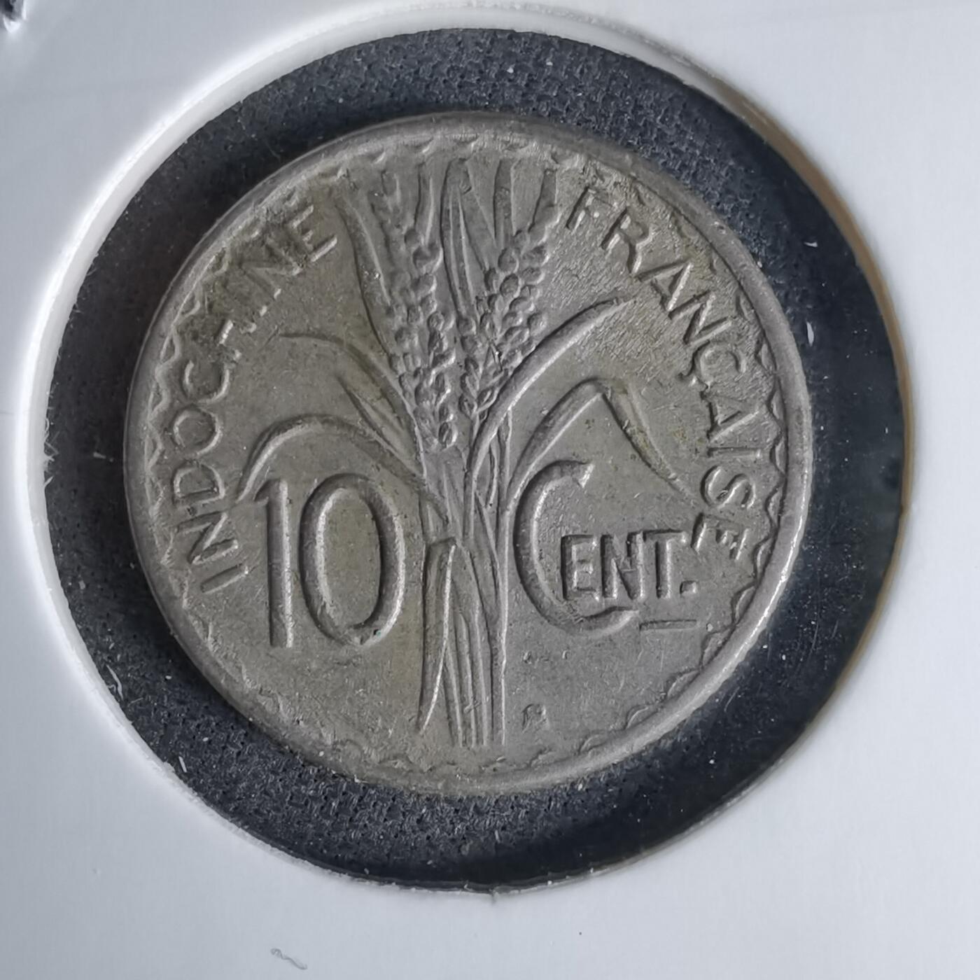 沼泽如烟--第1046场