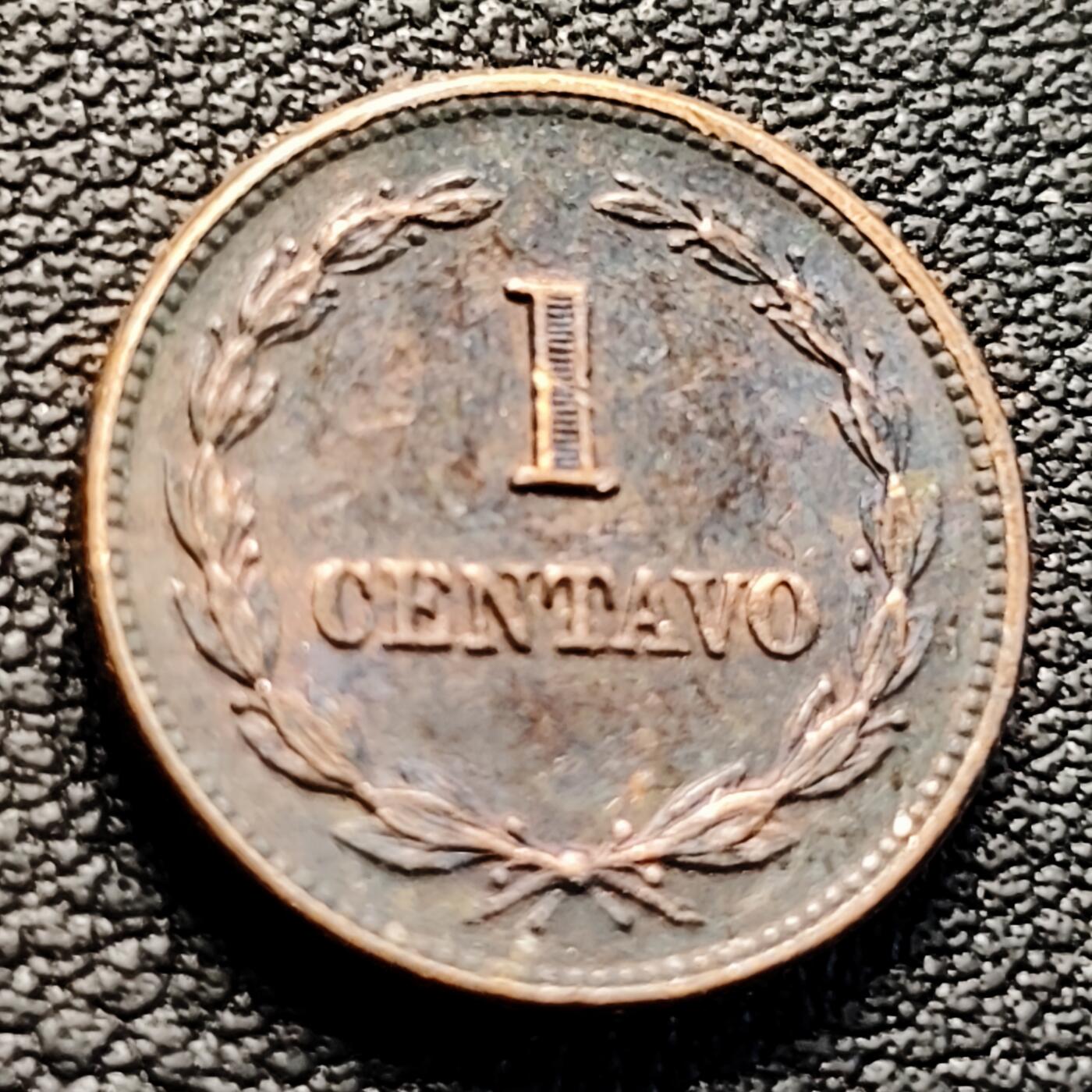 泉币菌-第223场-拍品多 请提前出价(工作原因  发货比较迟缓 已在拍卖规则里面说明 望理解)