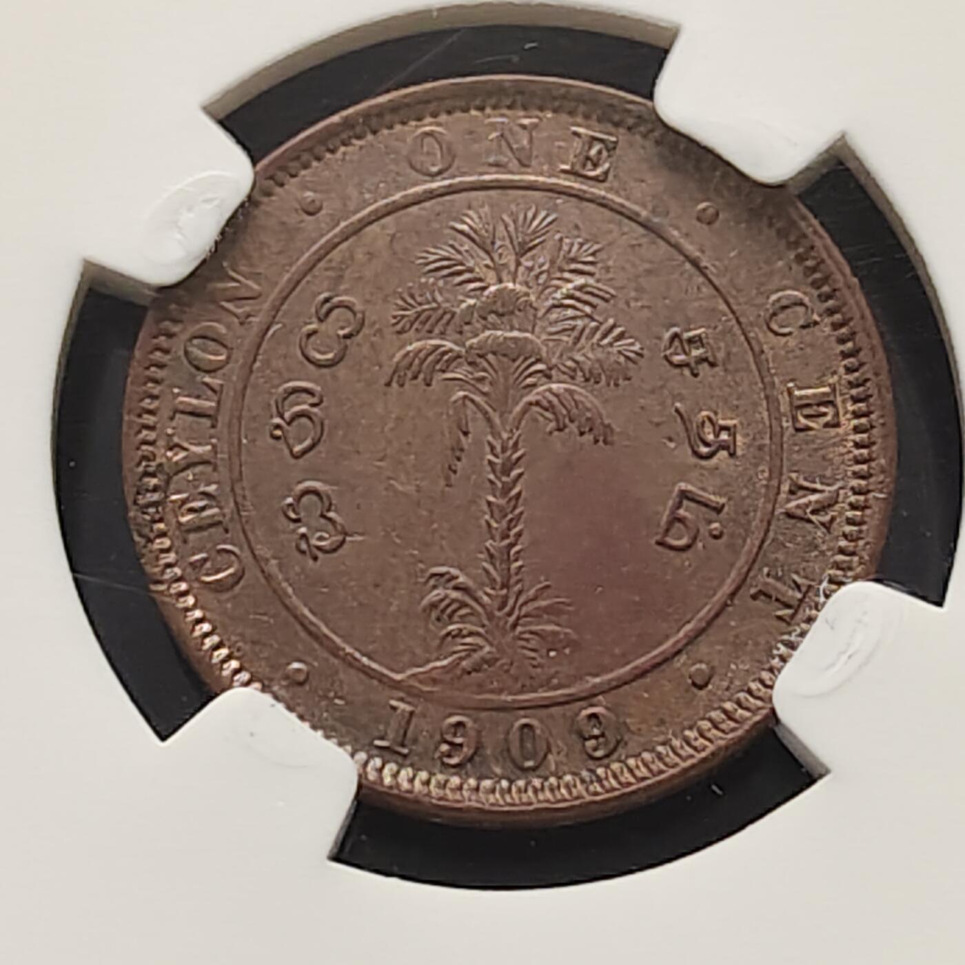 【全场包邮】纯粹捡漏拍519场 锡兰1909年爱德华七世1分大铜币-NGC UNC DETAILS（盒裂）