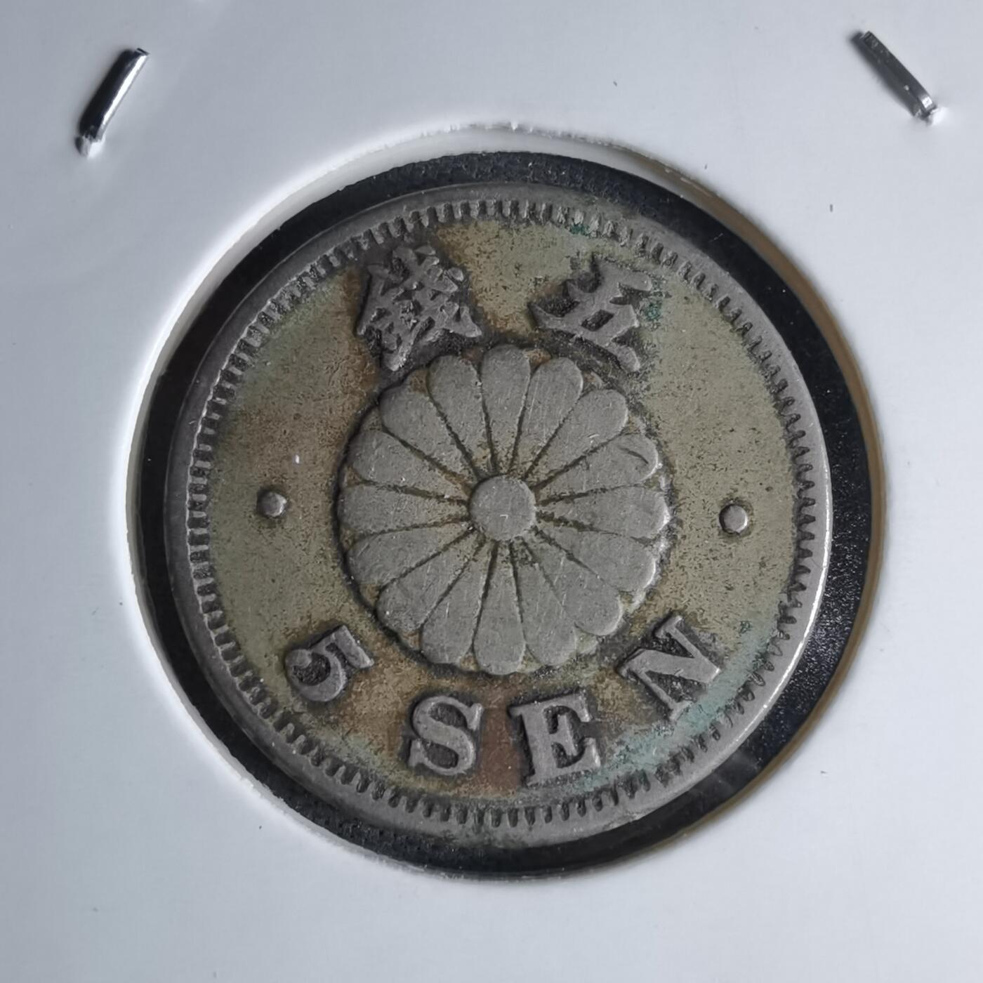 沼泽如烟--第1046场