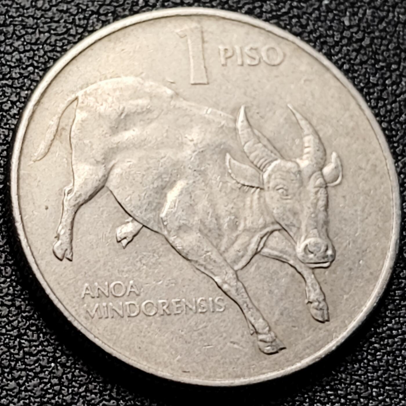 泉币菌-第223场-拍品多 请提前出价(工作原因  发货比较迟缓 已在拍卖规则里面说明 望理解)