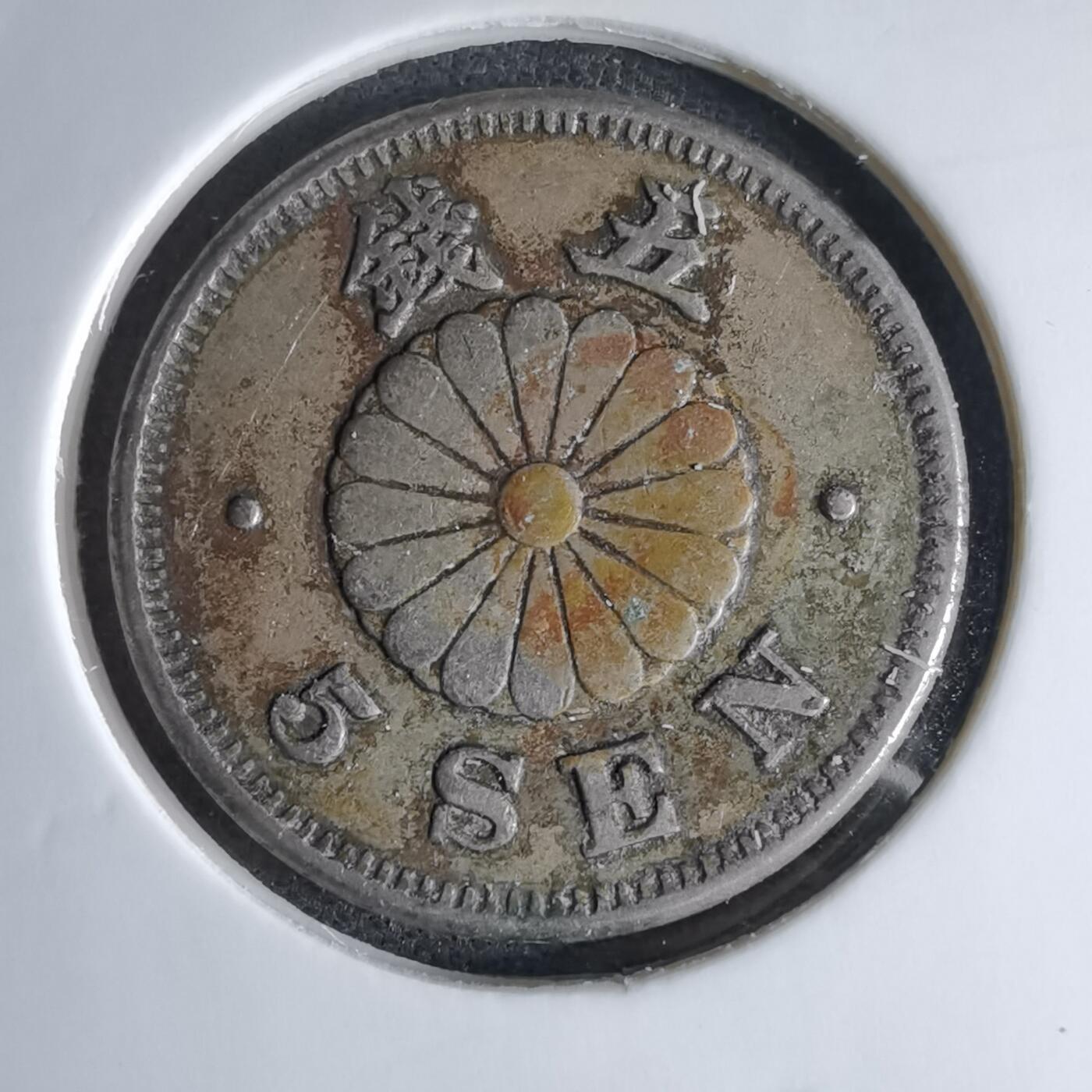 沼泽如烟--第1046场