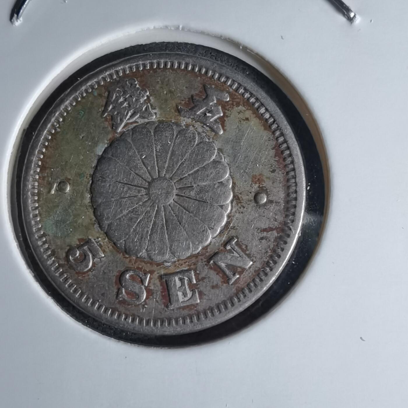 沼泽如烟--第1046场