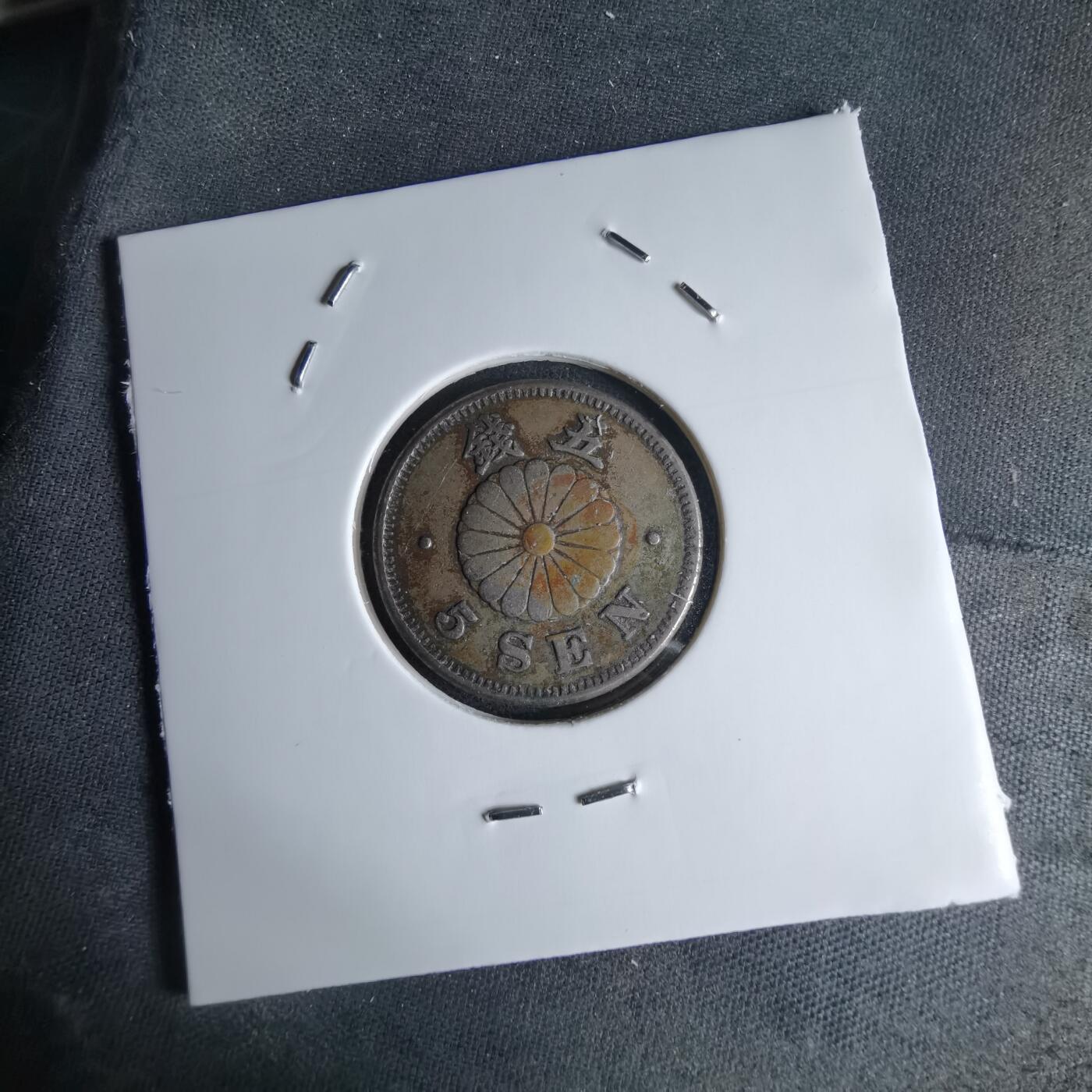 沼泽如烟--第1046场