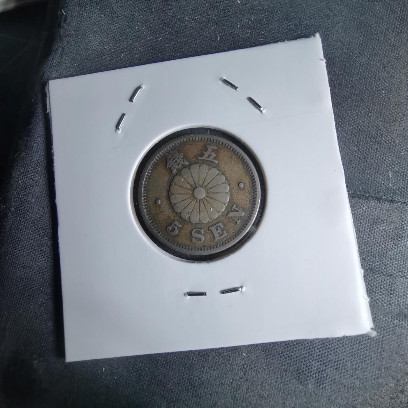 沼泽如烟--第1046场