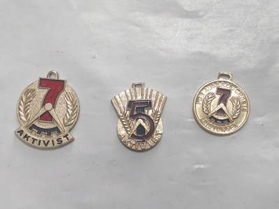 韵星假日军品类拍卖第52期  -- Rimey Holidays Militaria Auction 52 - 民主德国七年计划积极分子 卓越劳动 五年计划积极分子章头一组