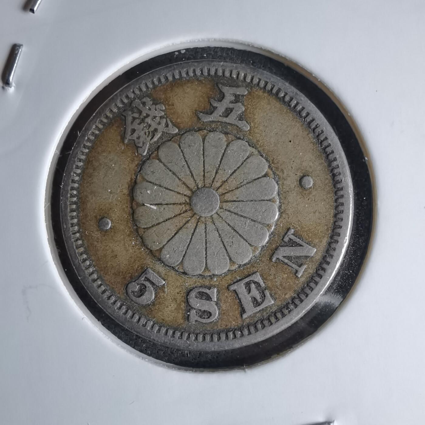 沼泽如烟--第1046场