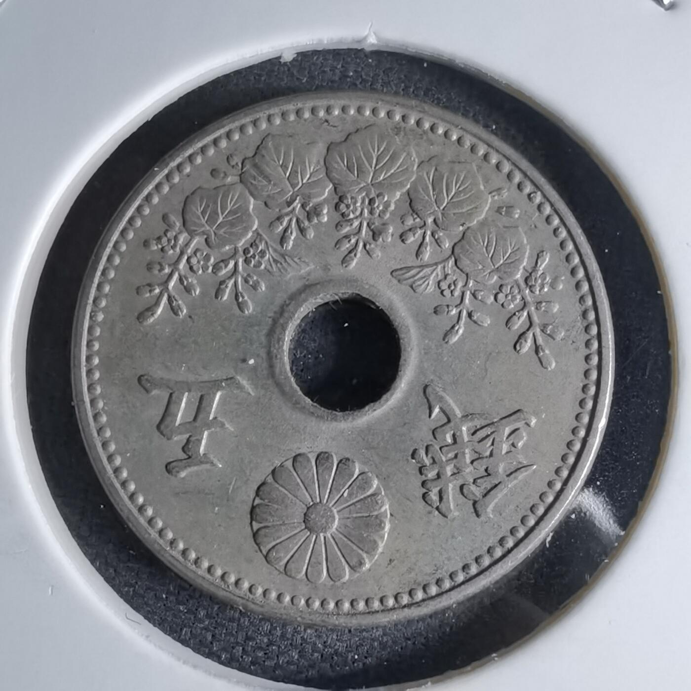 沼泽如烟--第1046场