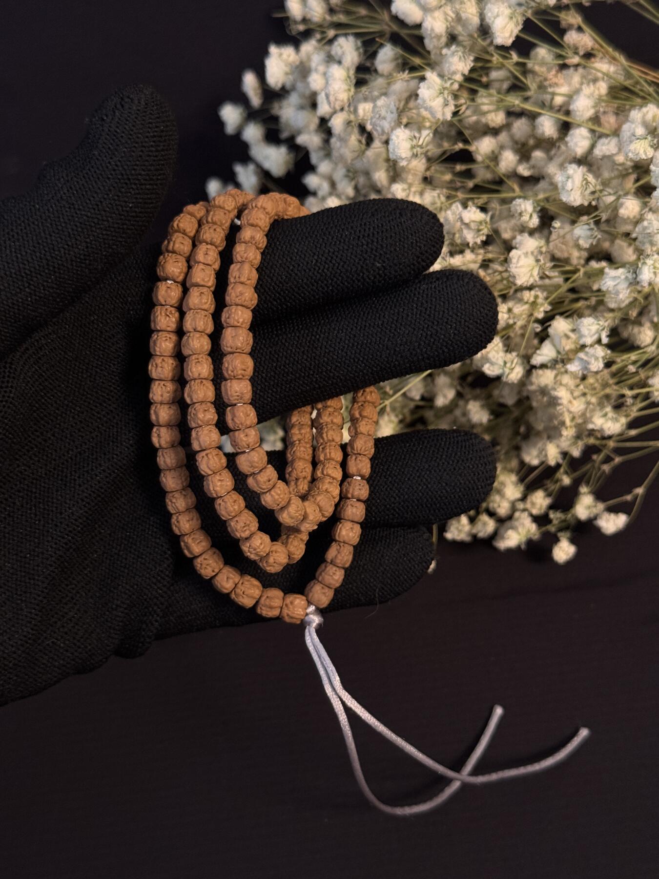 零元拍：龙切 五爪小佛手长串6 MM左右，非常容易变红，坊间人称三日红，很容易有盘玩成就感。