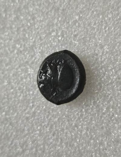 瓶子🏺第236期拍卖会 -  稀少铜币  公元前4-3世纪（科林斯鼎盛期，对应希腊古典时代晚期-希腊化时代早期）科林斯飞马币是古希腊钱币收藏的入门级经典品种，也是古希腊城邦货币的代表，其飞马设计简洁、辨识度极高，是古希腊钱币艺术的标志性作品之一，更是研究古希腊地中海贸易、城邦历史的重要实物