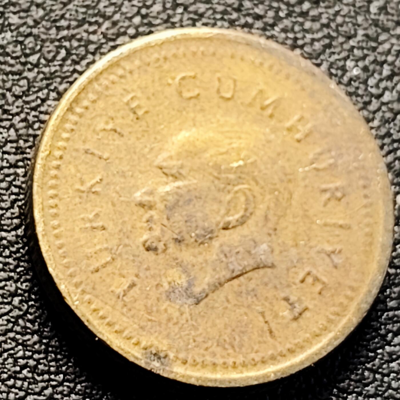 泉币菌-第223场-拍品多 请提前出价(工作原因  发货比较迟缓 已在拍卖规则里面说明 望理解)