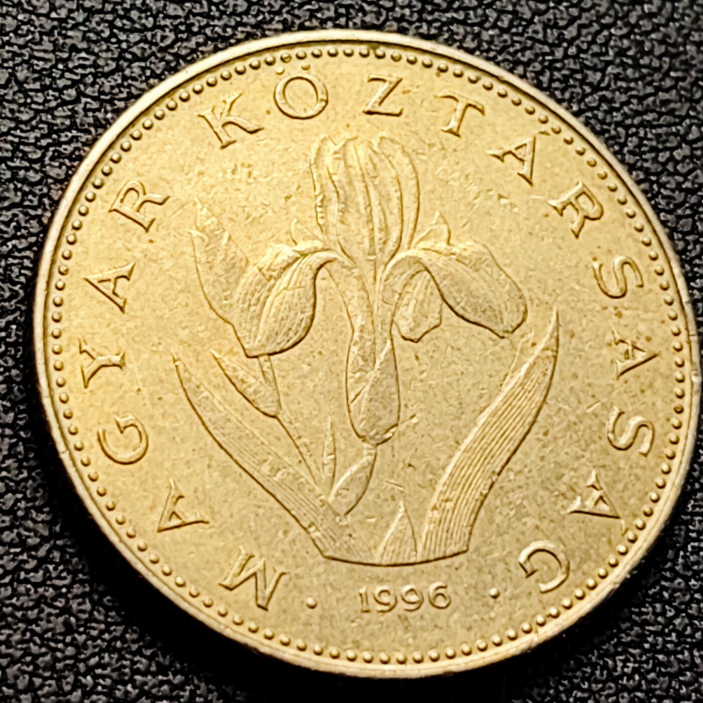 泉币菌-第223场-拍品多 请提前出价(工作原因  发货比较迟缓 已在拍卖规则里面说明 望理解)