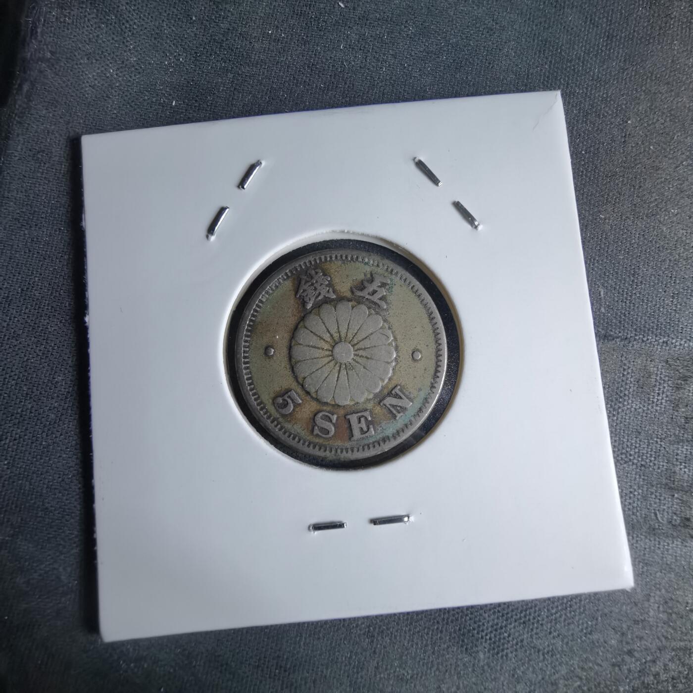 沼泽如烟--第1046场