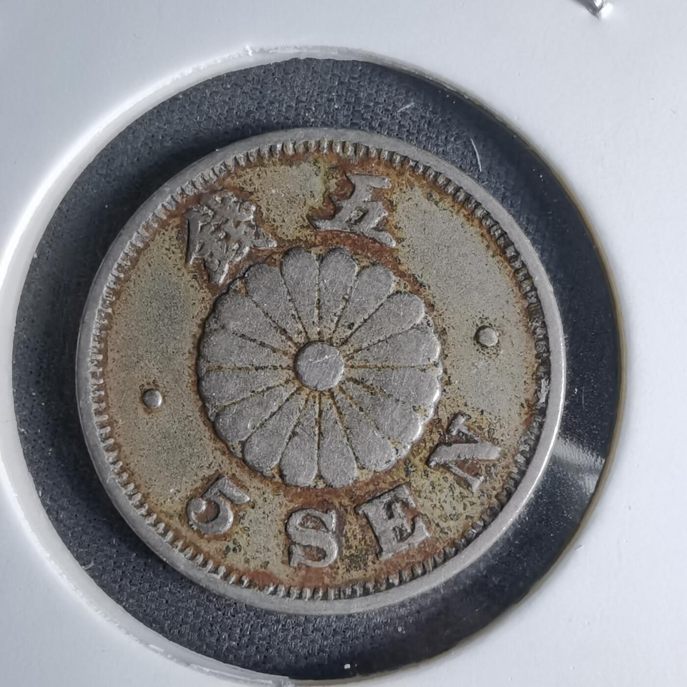 沼泽如烟--第1046场