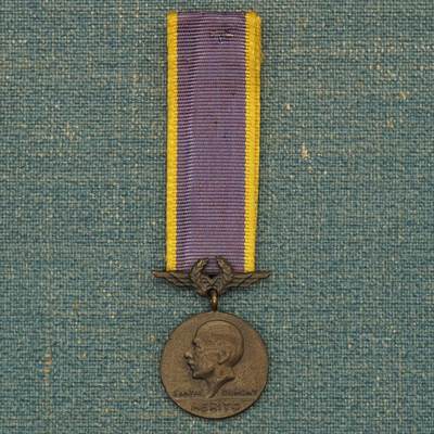 【涛泉堂】第41期（4月12日）勋奖章徽章专场拍卖 - 巴西桑托斯-杜蒙特功勋奖章迷你章