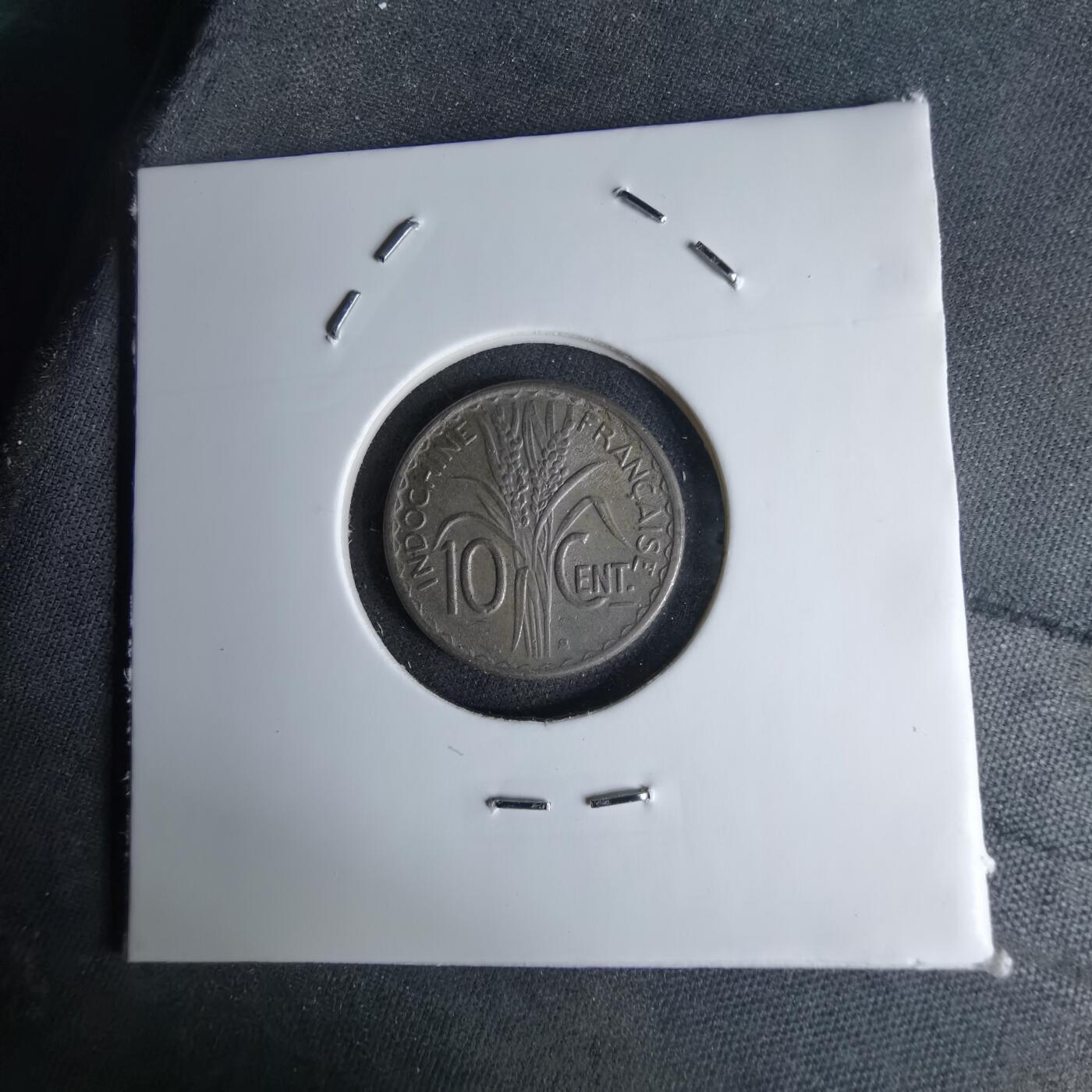 沼泽如烟--第1046场