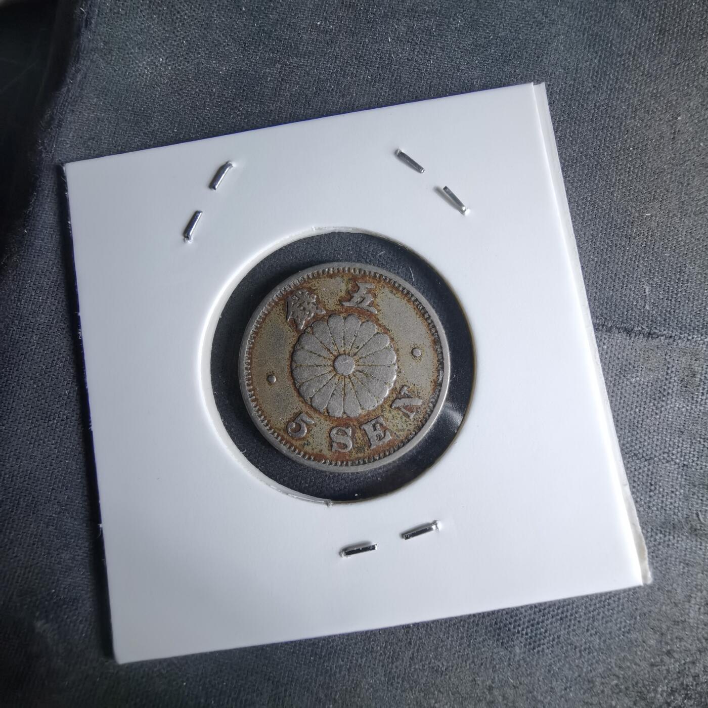 沼泽如烟--第1046场