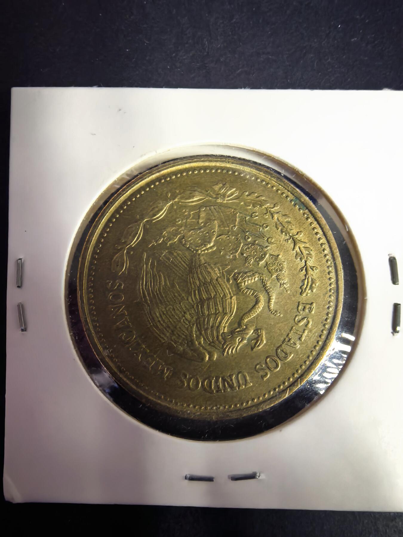 泡泡堂微拍2026.4.8第4场 墨西哥银叼蛇