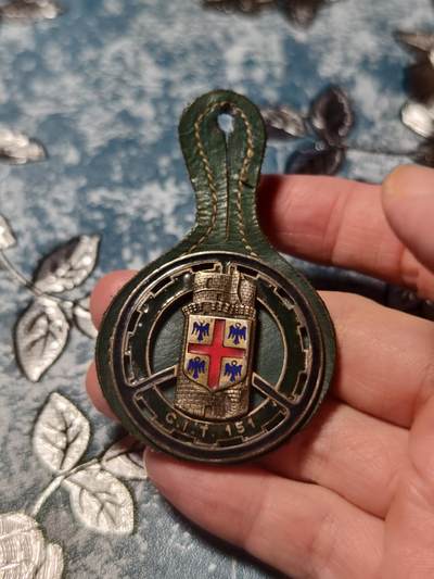 抚柳草堂-第二十三期章牌钱币  奖章勋章 满百包邮 放漏专场 - 法国陆军第151运输步兵连（C.I.T. 151）徽章  历史原品 红色十字+四鹰纹章 盾徽内的红色十字（十字形）+四角蓝色雄鹰，源自法国历史上的朗格多克-鲁西永地区纹章，该部队历史上驻防于法国南部，以此为地域标识