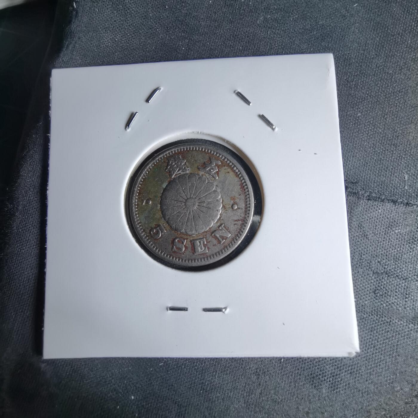 沼泽如烟--第1046场