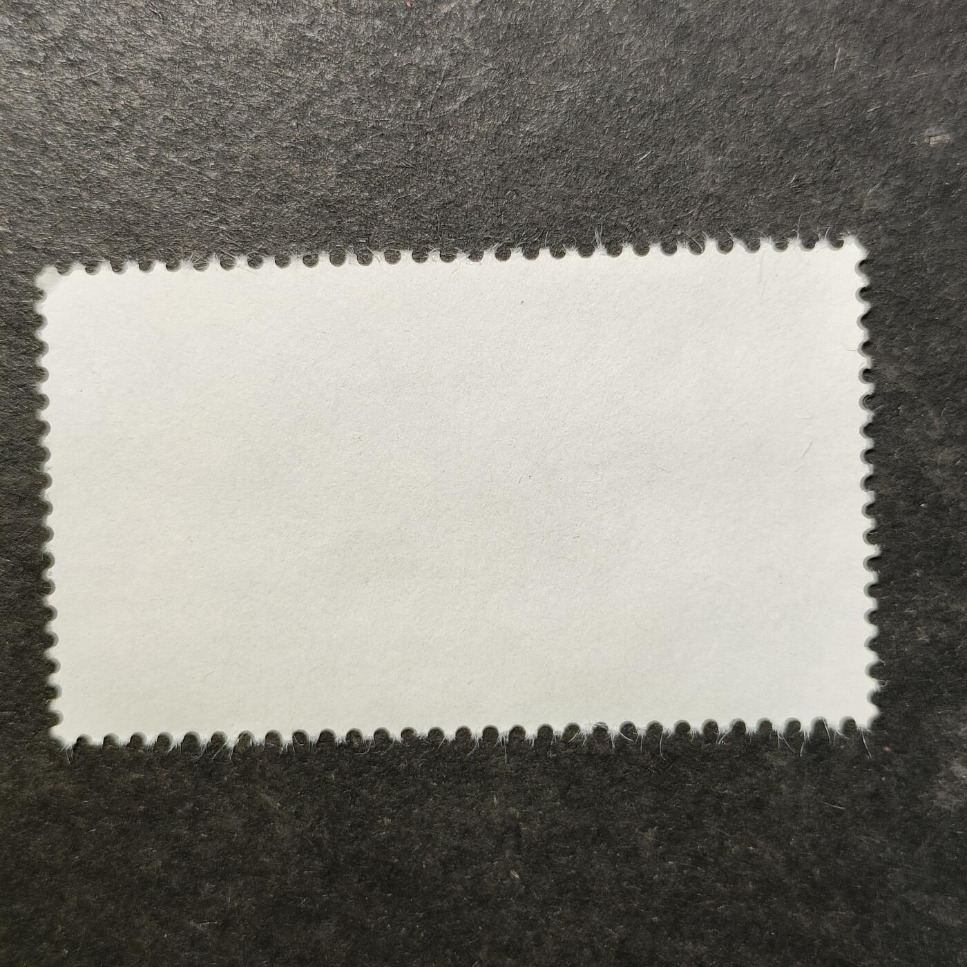 嘉禾收藏    【第511期】            无佣金、可寄存、满30元包邮 邮票一枚