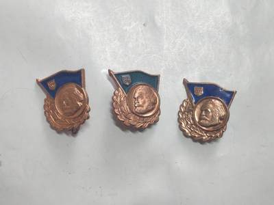 韵星假日军品类拍卖第52期  -- Rimey Holidays Militaria Auction 52 - 民主德国自由德国青年团铜级表彰良好知识奖章一组