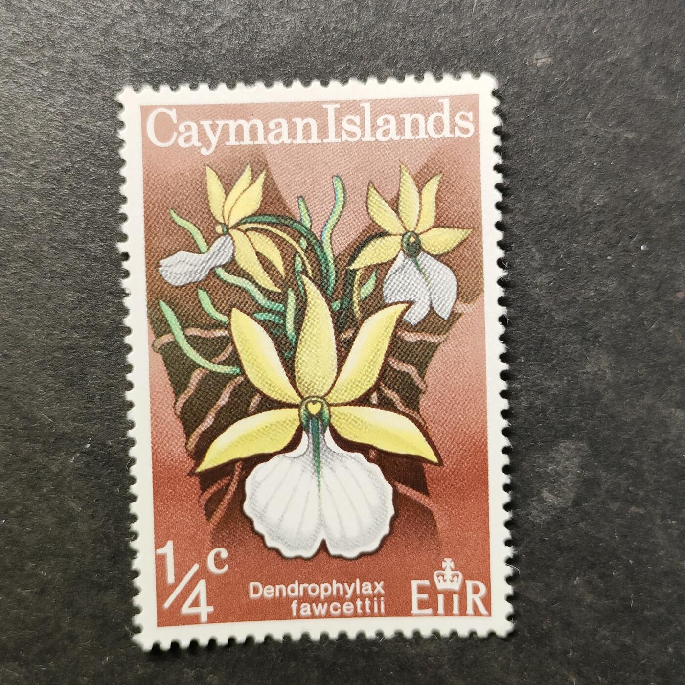 嘉禾收藏    【第511期】            无佣金、可寄存、满30元包邮 邮票一枚