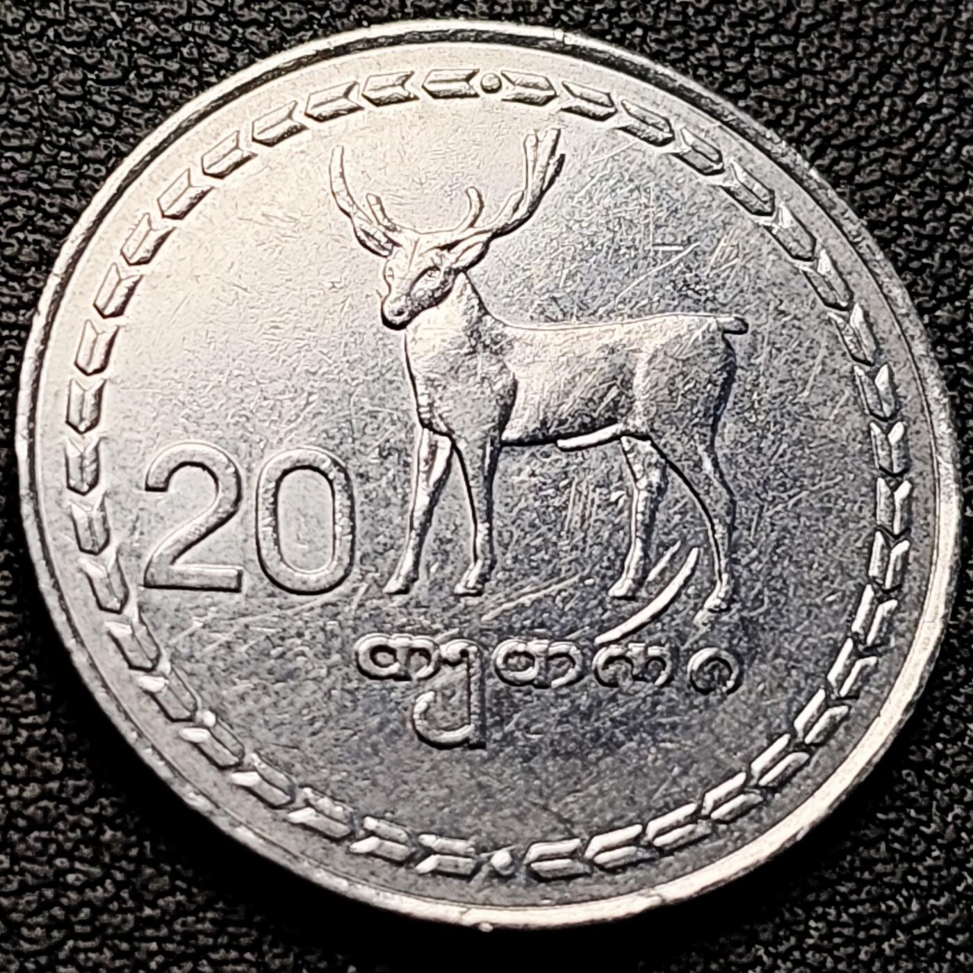 泉币菌-第223场-拍品多 请提前出价 。