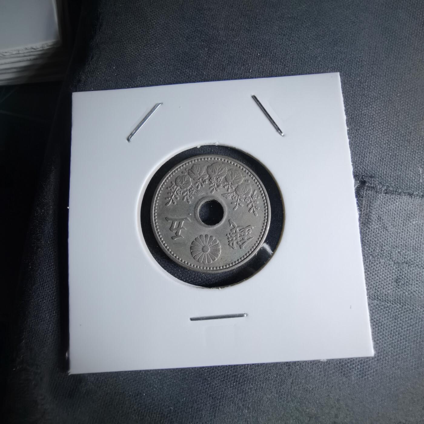 沼泽如烟--第1046场