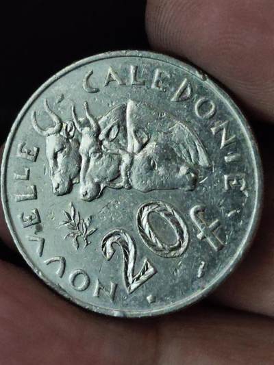 猩哥外币小铺➨【第228场】 - 法国