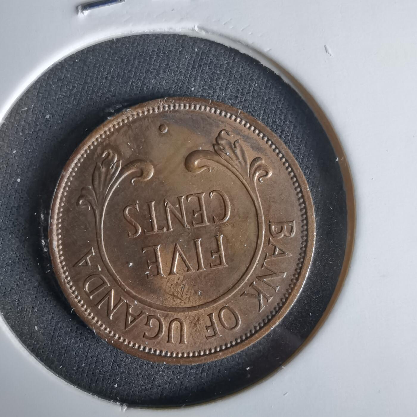 沼泽如烟--第1047场