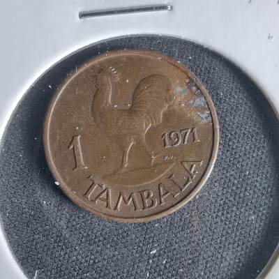 沼泽如烟--第1047场 - 马拉维1971年1坦巴拉