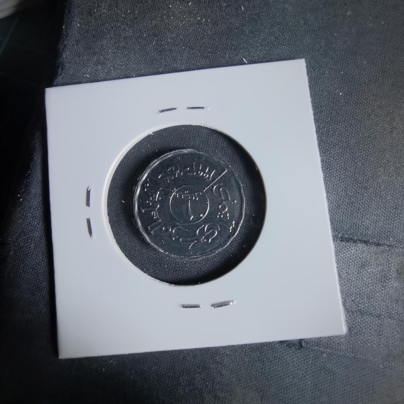 沼泽如烟--第1047场