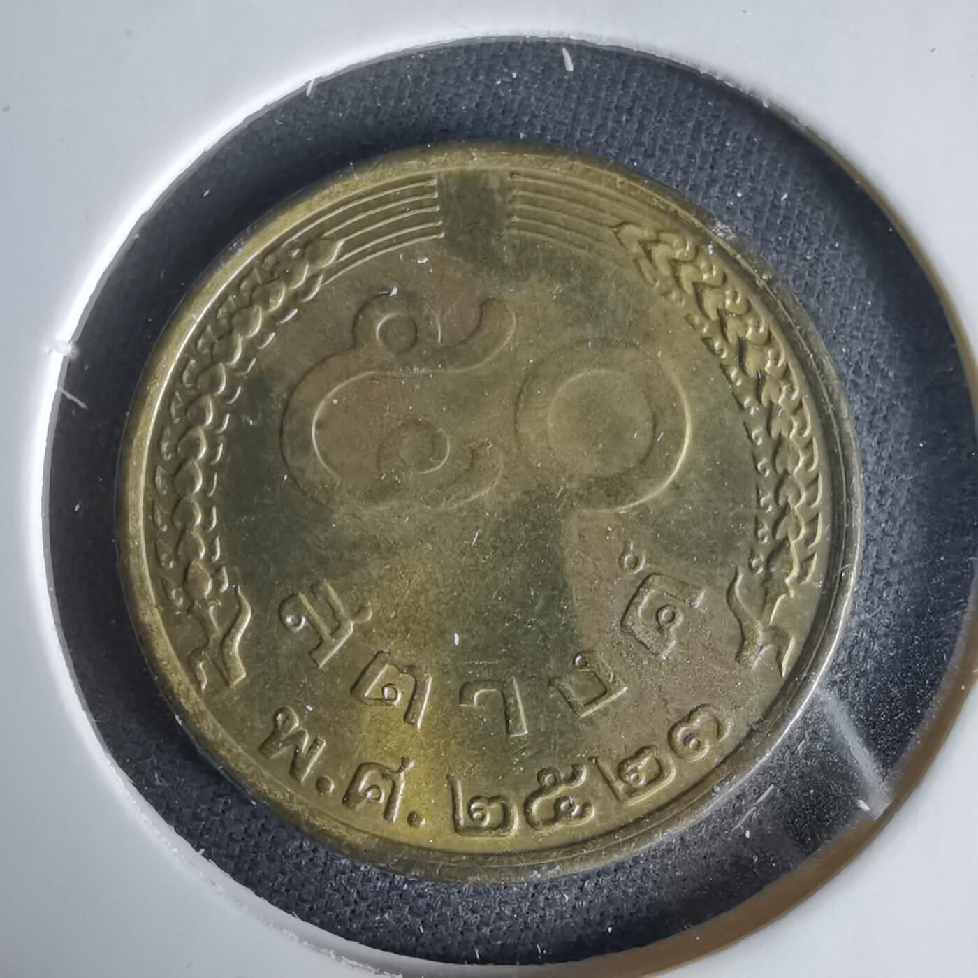 沼泽如烟--第1047场 泰国