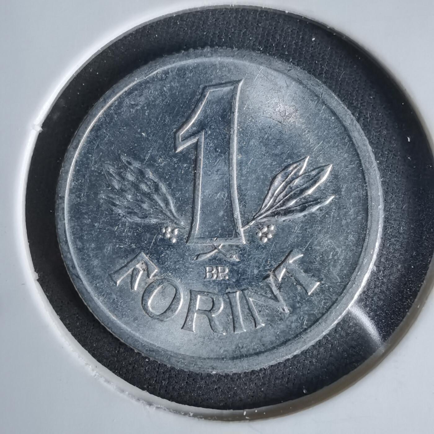 沼泽如烟--第1047场