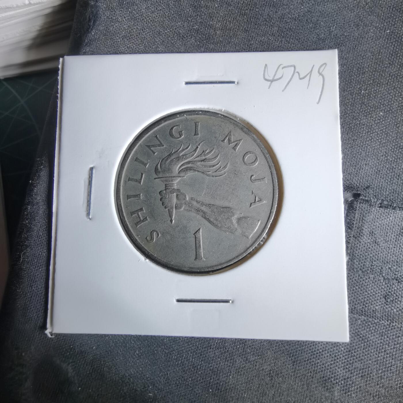 沼泽如烟--第1047场