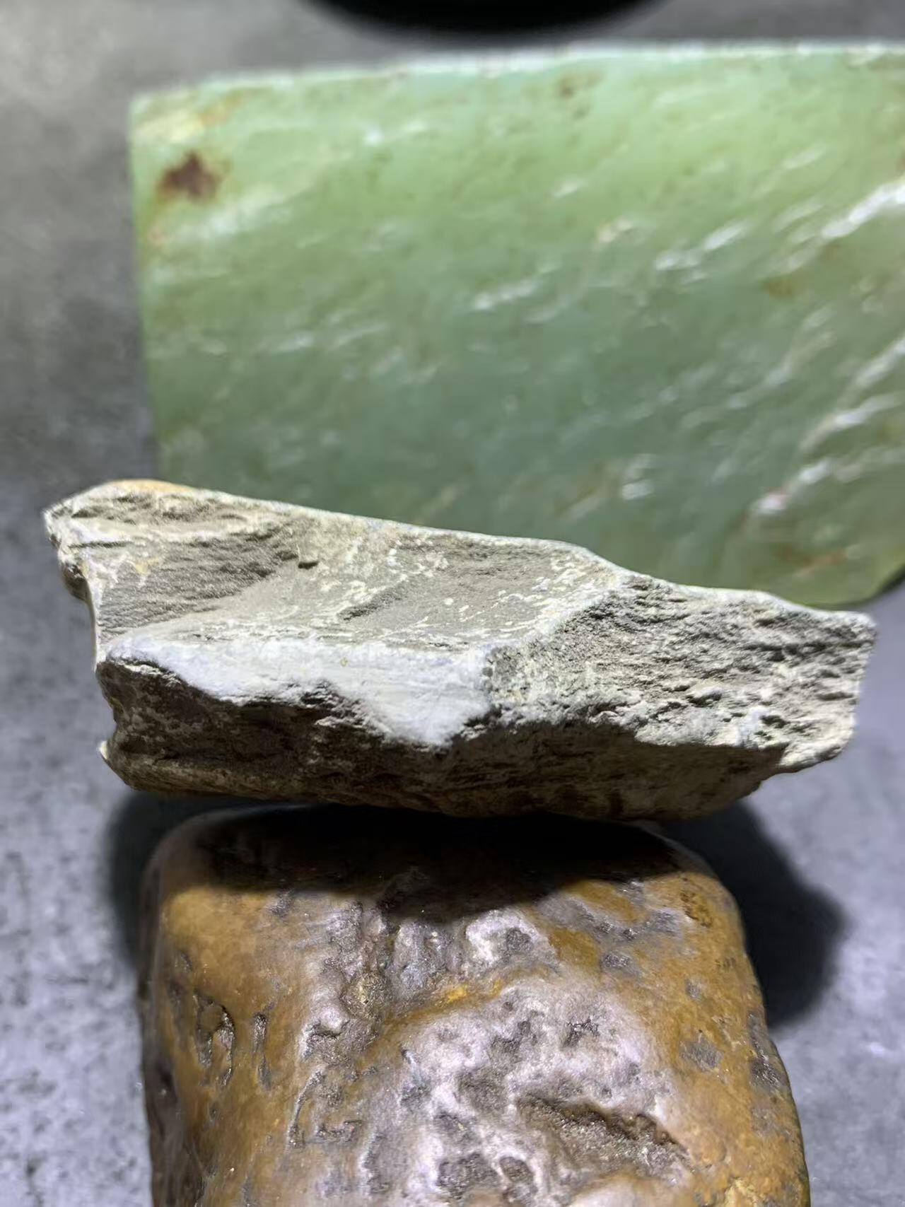 精美天然湘西三叶虫尾巴化石王冠虫张氏虫古生物化石标本原石一颗，