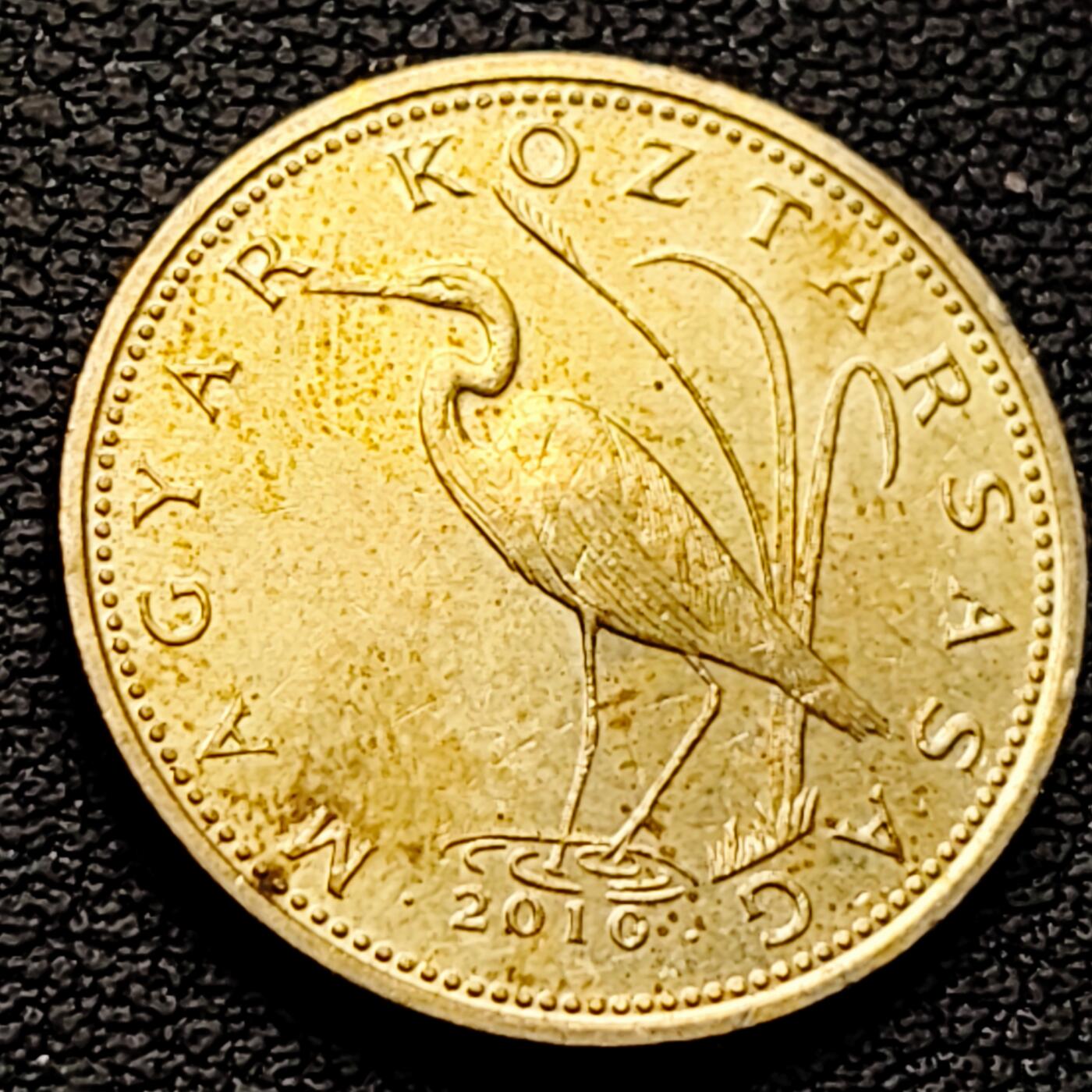 泉币菌-第223场-拍品多 请提前出价(工作原因  发货比较迟缓 已在拍卖规则里面说明 望理解)