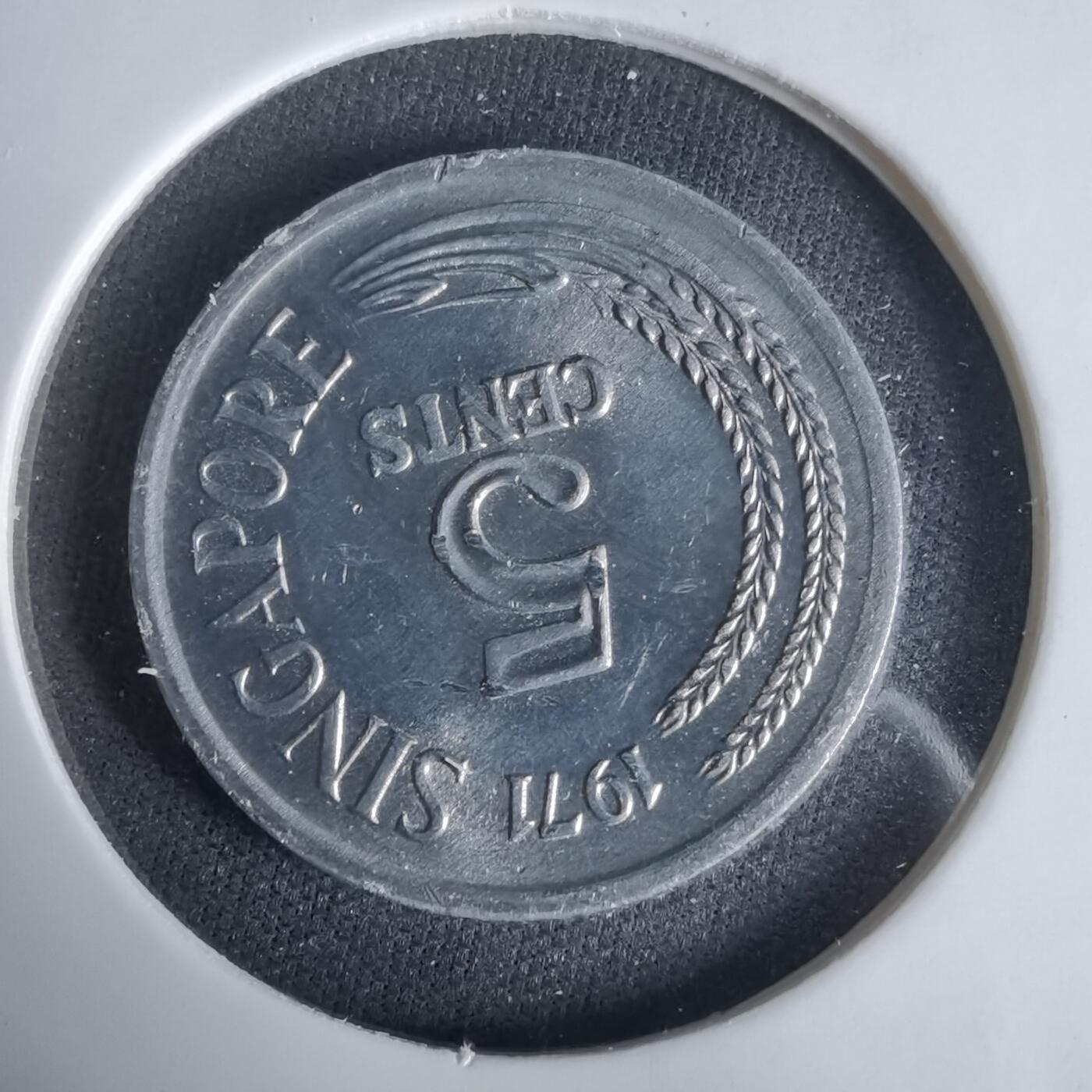 沼泽如烟--第1047场