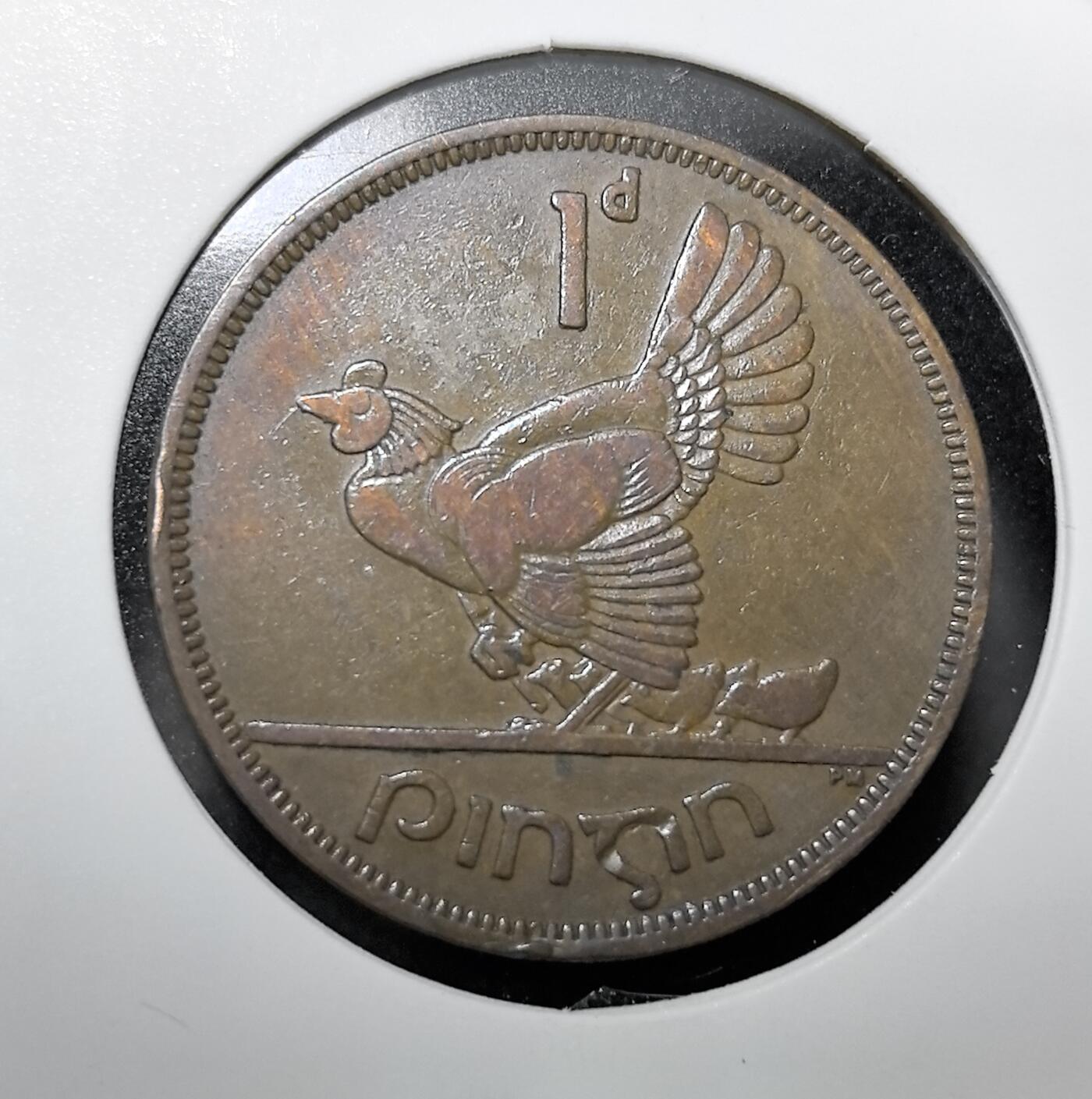 外国优质老铜币纪念币银币专场，周六晚上九点倒数截拍，满百包邮，周日发货,可寄存半年，喜欢朋友微信扫描二维码可直接参拍 爱尔兰自由邦1950 年 1 便士铜币，以母鸡护雏为设计，背面为爱尔兰竖琴国徽，是爱尔兰独立后首套流通辅币，见证爱尔兰脱离英国、确立国家主权的历史。