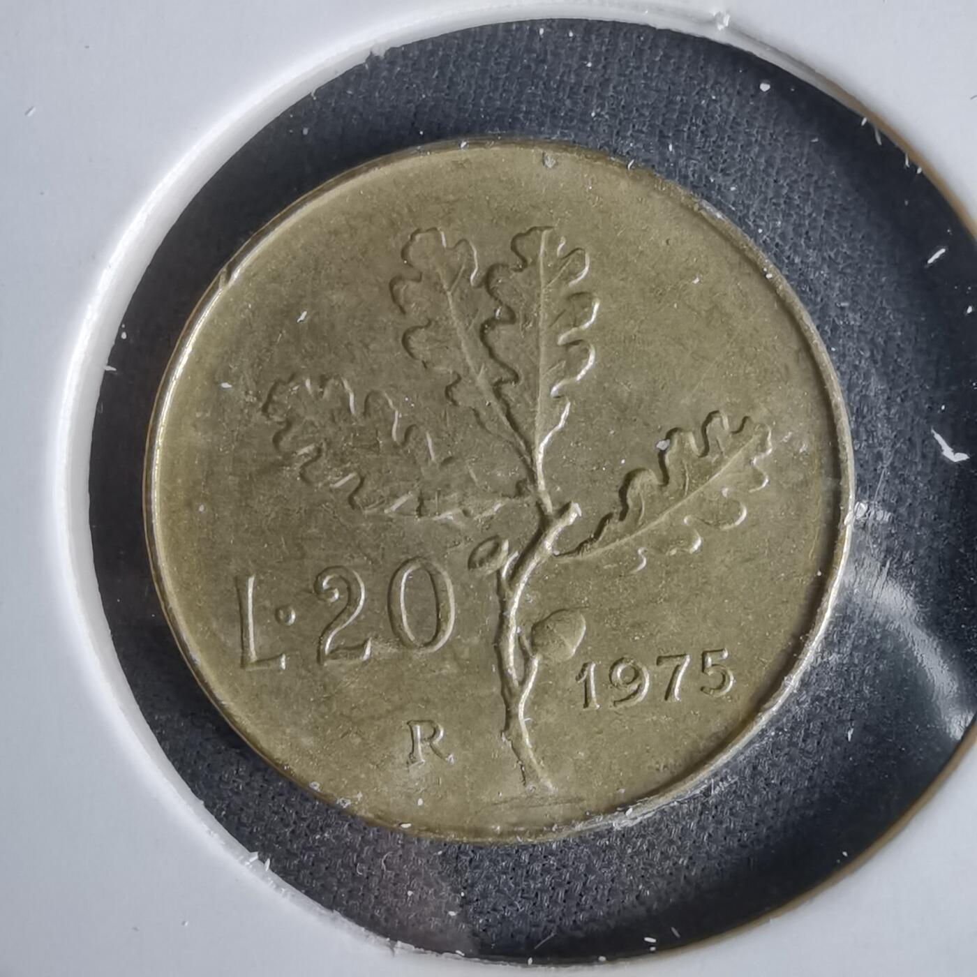 沼泽如烟--第1047场