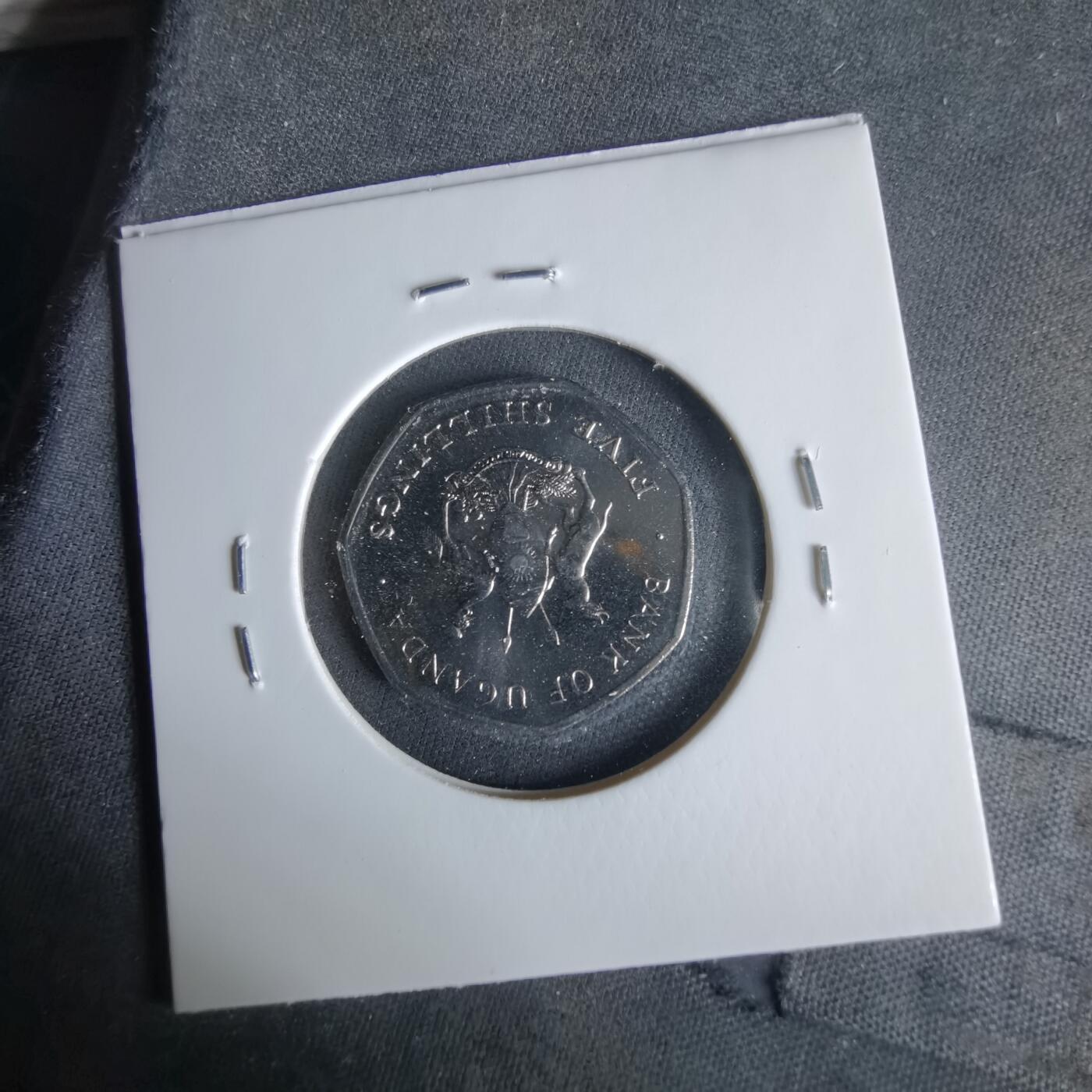 沼泽如烟--第1047场