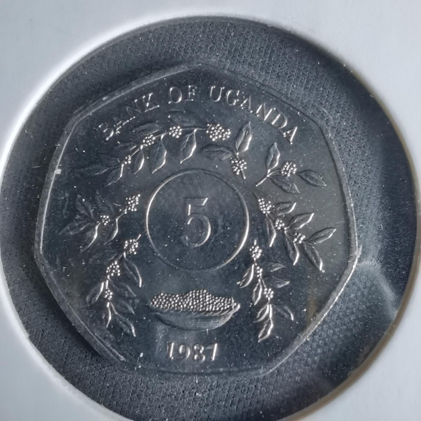 沼泽如烟--第1047场