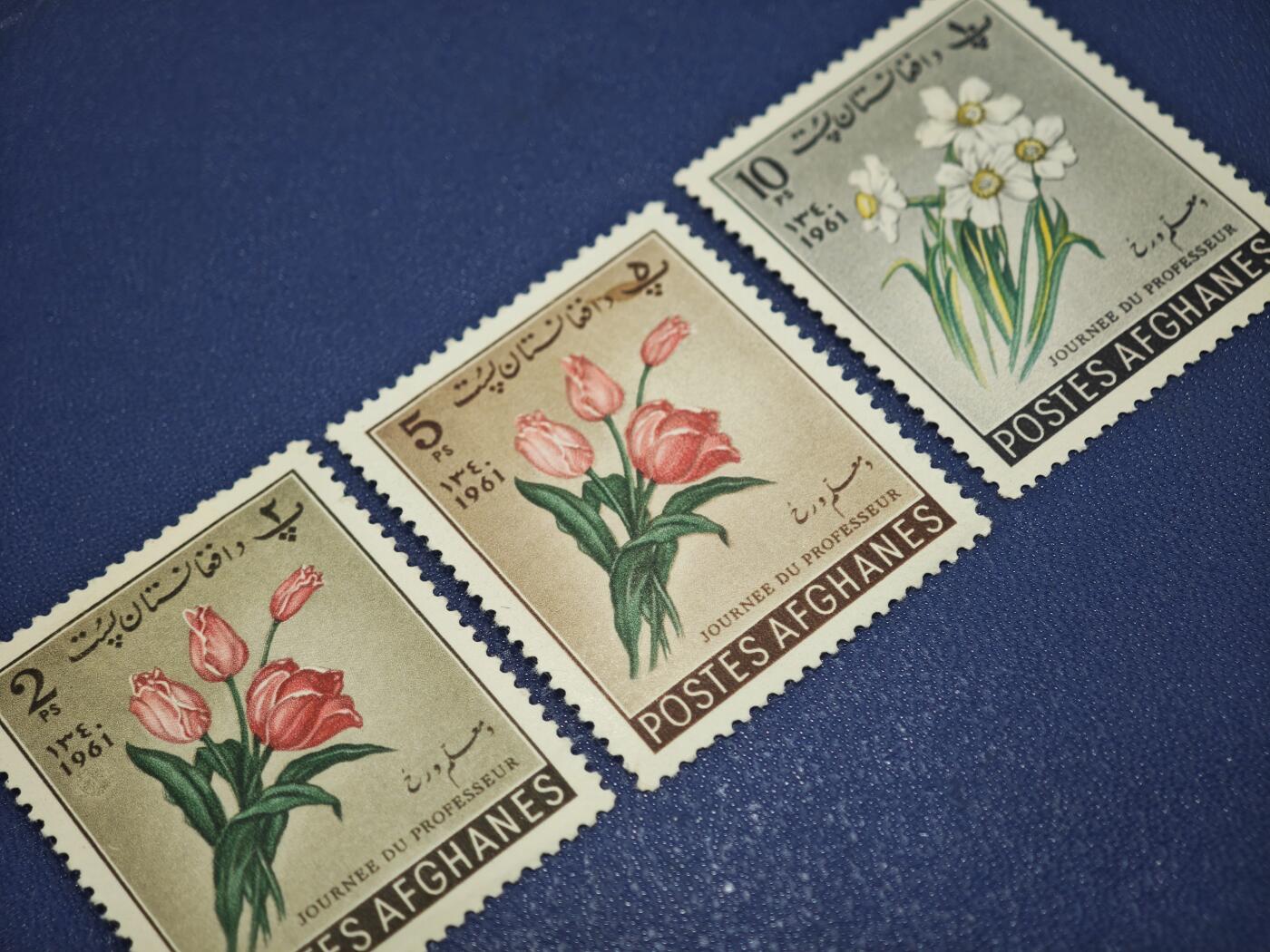 橙子收藏第八期(社会主义国家邮票专场) 阿富汗 1961年“教师节”花卉主题邮票（全套3枚）     这是一套阿富汗王国（1960年代君主制时期）发行的教师节纪念邮票，以浓郁的伊斯兰艺术风格与花卉写实构图结合，是阿富汗早期邮政发行中极具代表性的品种