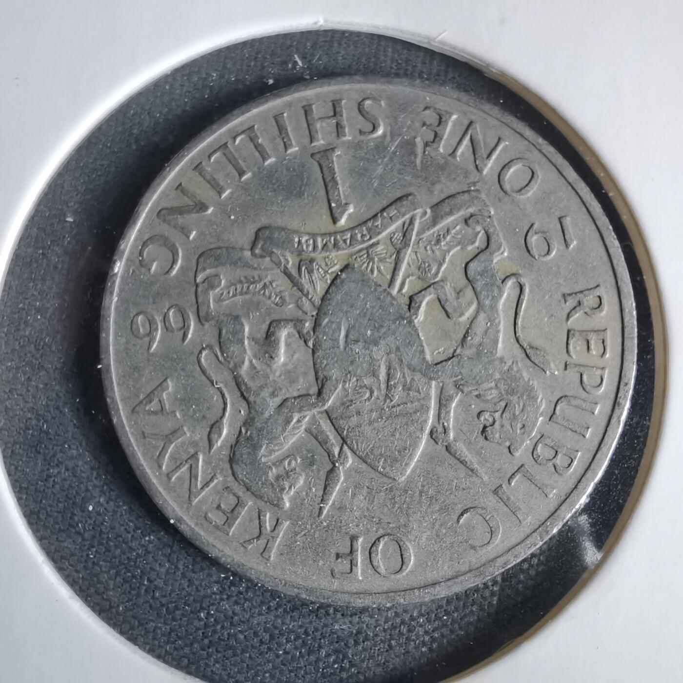 沼泽如烟--第1047场