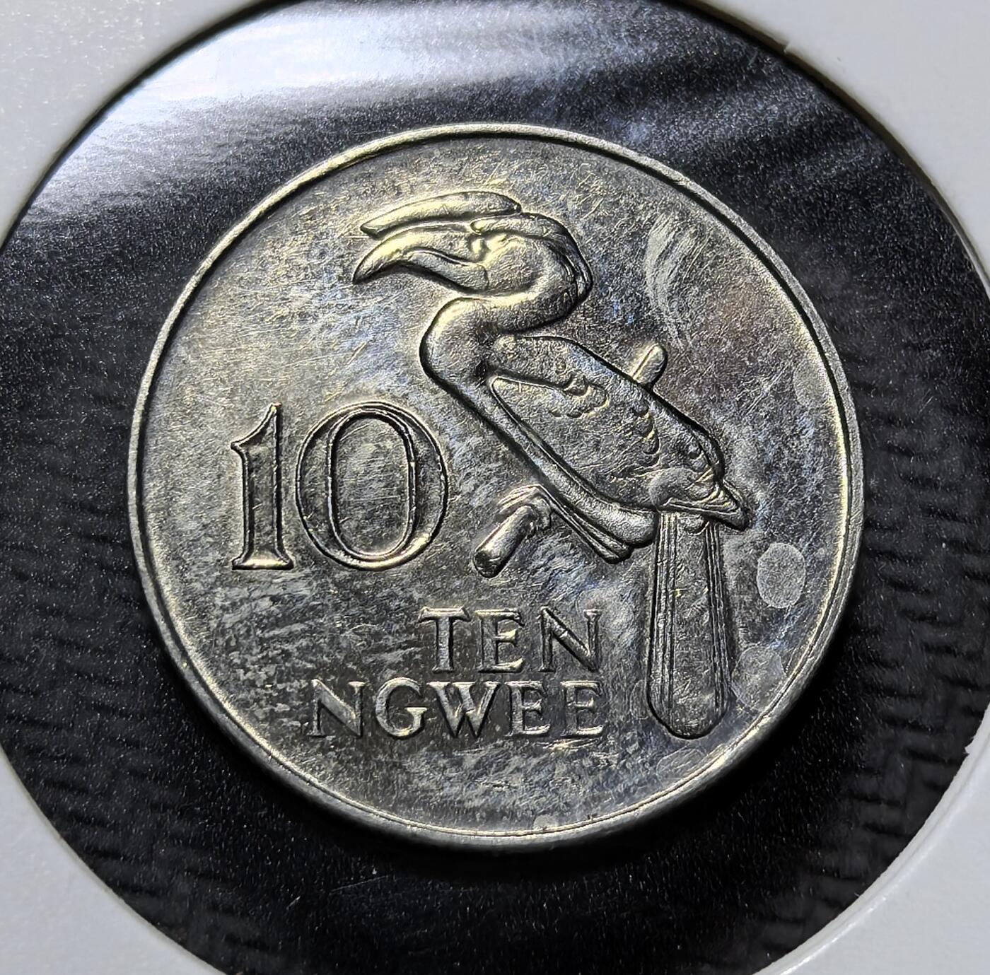 外国优质老铜币纪念币银币专场，周六晚上九点倒数截拍，满百包邮，周日发货,可寄存半年，喜欢朋友微信扫描二维码可直接参拍 赞比亚巨嘴鸟10 恩韦，正面为开国总统卡翁达头像，背面以非洲巨嘴鸟彰显本土生态，是赞比亚独立后流通辅币，见证非洲国家货币自主与本土文化传承。