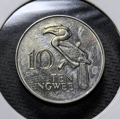 外国优质老铜币纪念币银币专场，周六晚上九点倒数截拍，满百包邮，周日发货,可寄存半年，喜欢朋友微信扫描二维码可直接参拍 - 赞比亚巨嘴鸟10 恩韦，正面为开国总统卡翁达头像，背面以非洲巨嘴鸟彰显本土生态，是赞比亚独立后流通辅币，见证非洲国家货币自主与本土文化传承。