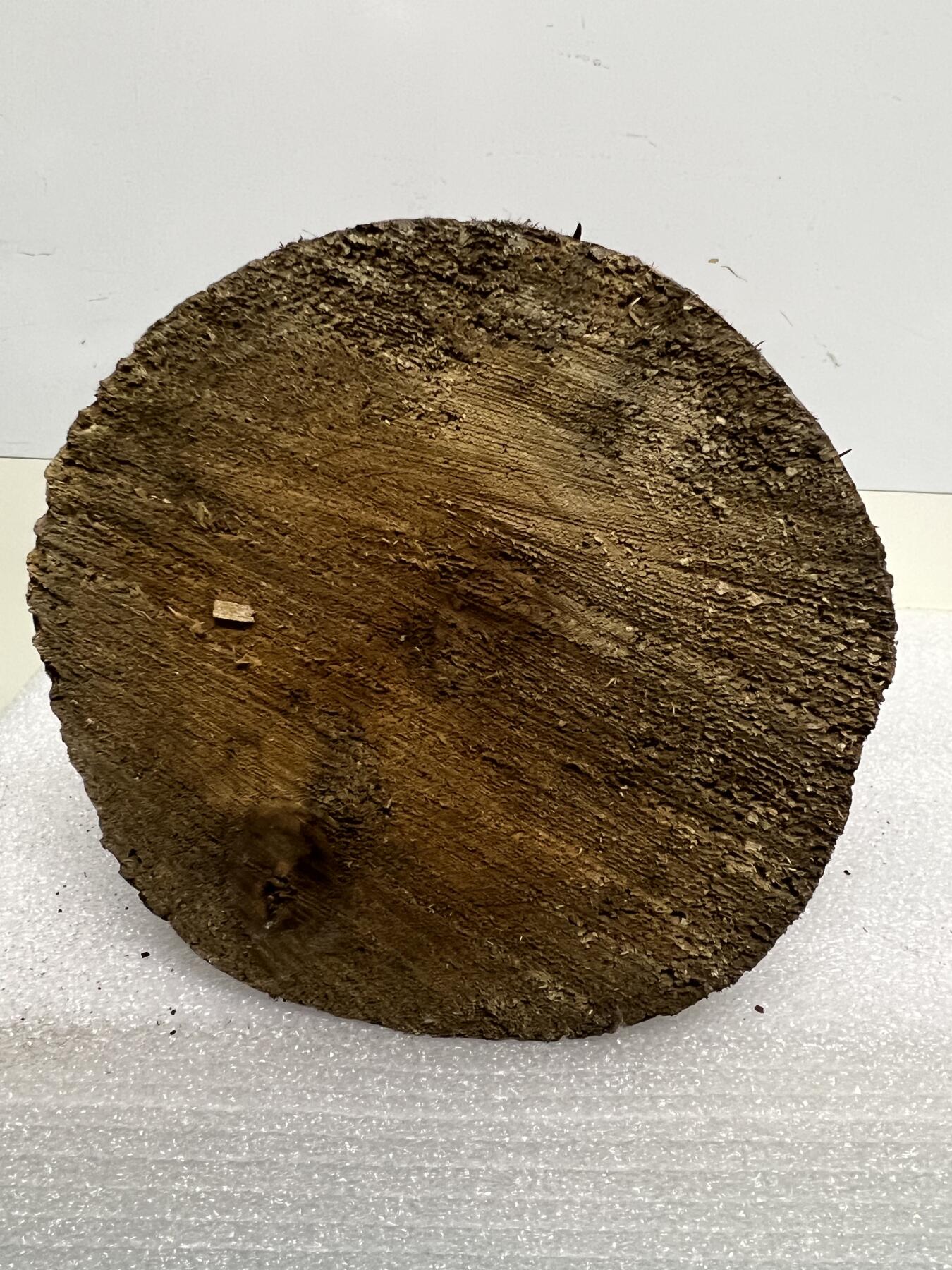 零元拍： 精品满虫花（无字天书）丁丁楠金丝楠 原木 墩子 圆凳 风水柱 横财（材），很难得的满虫花还带瘤花丁丁楠，做笔筒最佳选择， 这虫纹的金丝楠 大自然的鬼斧神工啊 画都画不出来，尺寸：21/14/15CM