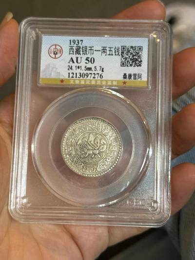 公博评级50西藏桑康啊雪雪阿 - 公博评级50西藏桑康啊雪雪阿